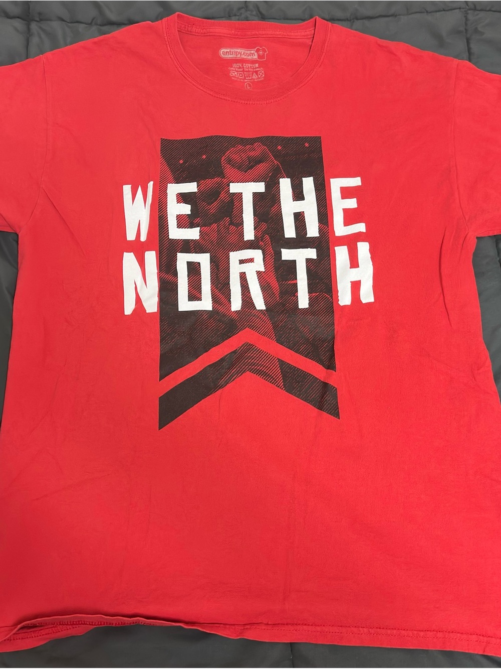 Toronto Raptors Red "We The North" Graphic Tee